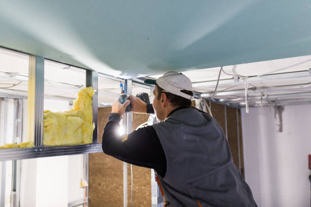 Best Insulation Maintenance and Repair in New Holstein, WI