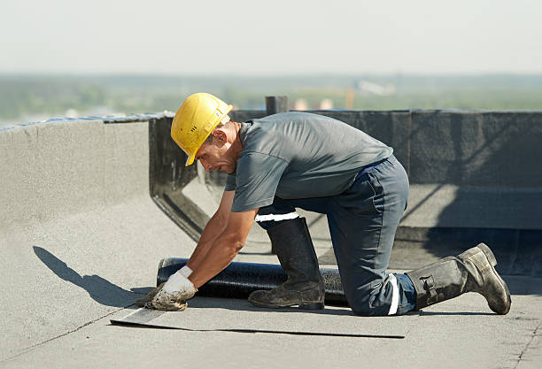 Best Eco-Friendly Insulation in New Holstein, WI